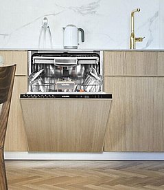 ���� ���� �������� 60 �� SCHOLTES ���: SODV1615FI