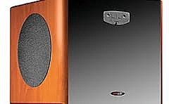 ������� Polk Audio ��� PSW1000