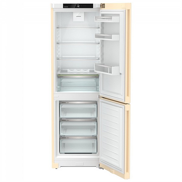 ���� ����� ����� CNbef 5203