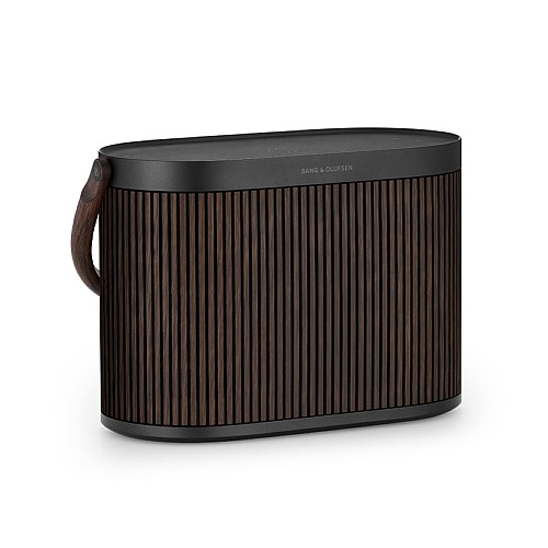 ������ ���� Bang&Olufsen Beosound A5